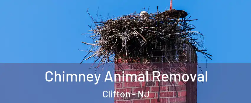  Chimney Animal Removal Clifton - NJ
