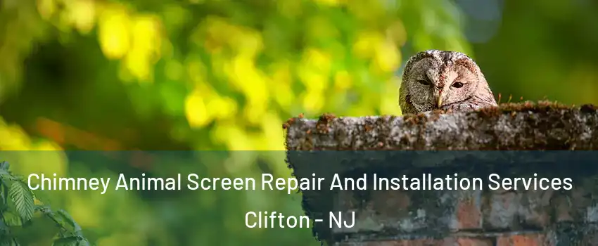  Chimney Animal Screen Repair And Installation Services Clifton - NJ