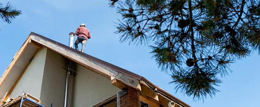 Birds Removal Contractors from Chimney in Clifton, NJ